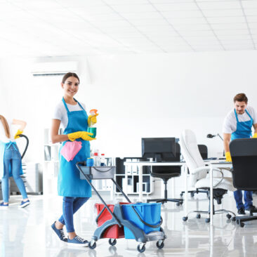 Reinigungs und Pflegeprodukte für Immobilien